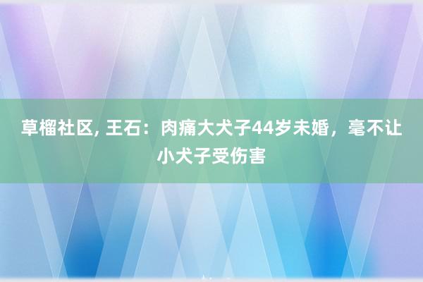 草榴社区, 王石：肉痛大犬子44岁未婚，毫不让小犬子受伤害