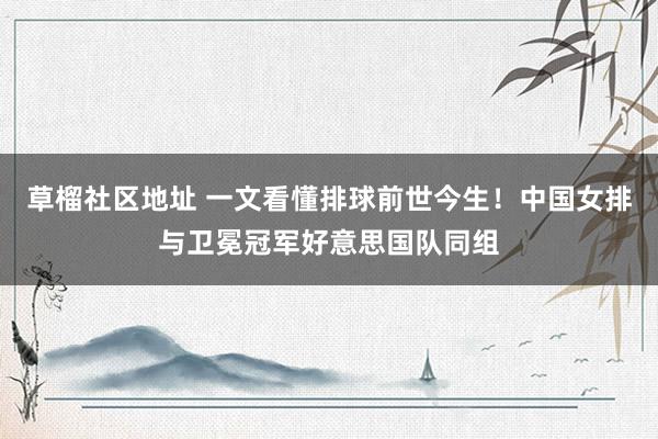 草榴社区地址 一文看懂排球前世今生！中国女排与卫冕冠军好意思国队同组