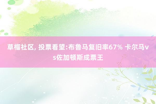 草榴社区, 投票看望:布鲁马复旧率67% 卡尔马vs佐加顿斯成票王