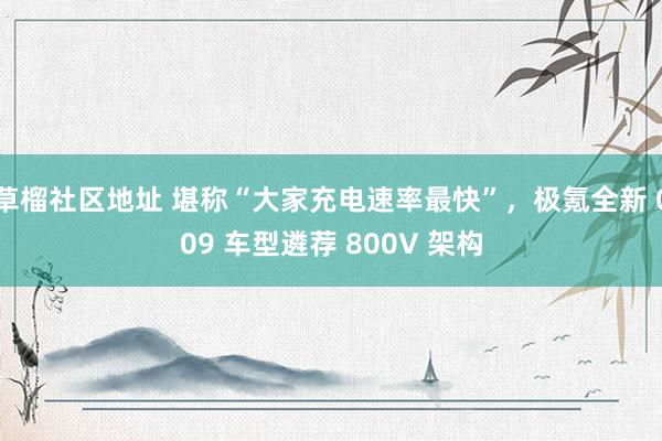 草榴社区地址 堪称“大家充电速率最快”，极氪全新 009 车型遴荐 800V 架构