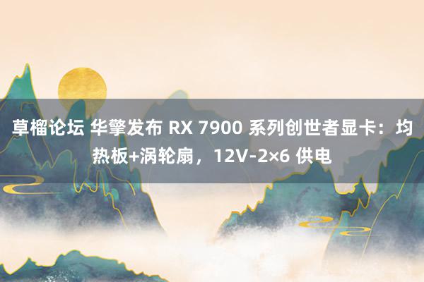 草榴论坛 华擎发布 RX 7900 系列创世者显卡：均热板+涡轮扇，12V-2×6 供电