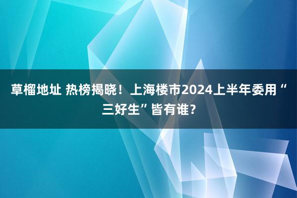 草榴地址 热榜揭晓！上海楼市2024上半年委用“三好生”皆有谁？