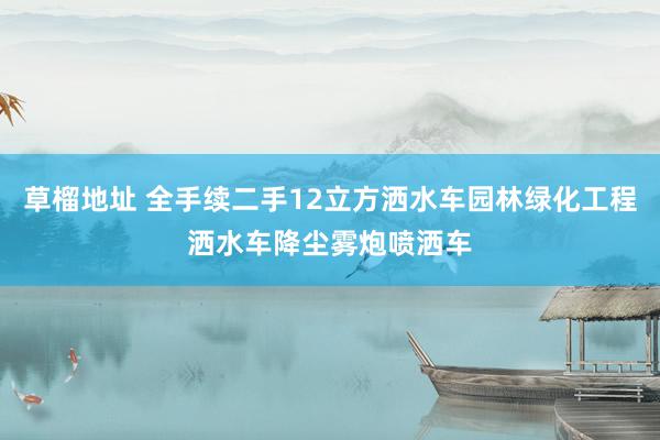 草榴地址 全手续二手12立方洒水车园林绿化工程洒水车降尘雾炮喷洒车