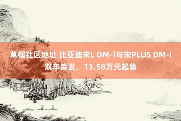 草榴社区地址 比亚迪宋L DM-i与宋PLUS DM-i双车皆发，13.58万元起售