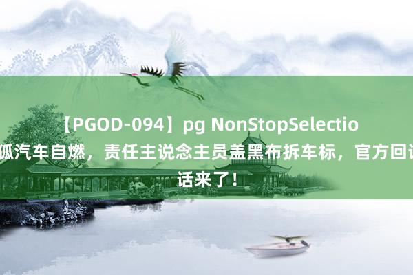 【PGOD-094】pg NonStopSelection 5 极狐汽车自燃，责任主说念主员盖黑布拆车标，官方回话来了！