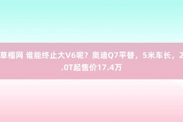 草榴网 谁能终止大V6呢？奥迪Q7平替，5米车长，2.0T起售价17.4万