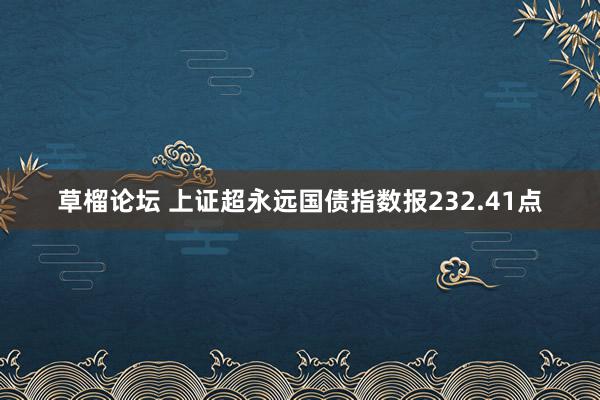 草榴论坛 上证超永远国债指数报232.41点