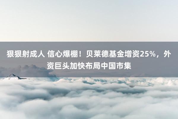 狠狠射成人 信心爆棚！贝莱德基金增资25%，外资巨头加快布局中国市集