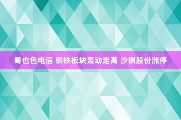 哥也色电信 钢铁板块轰动走高 沙钢股份涨停