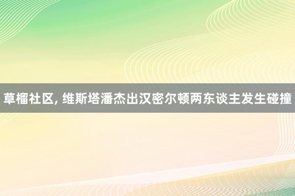 草榴社区, 维斯塔潘杰出汉密尔顿两东谈主发生碰撞