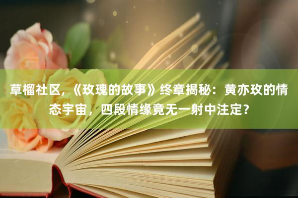 草榴社区, 《玫瑰的故事》终章揭秘：黄亦玫的情态宇宙，四段情缘竟无一射中注定？