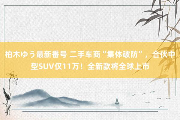 柏木ゆう最新番号 二手车商“集体破防”，合伙中型SUV仅11万！全新款将全球上市