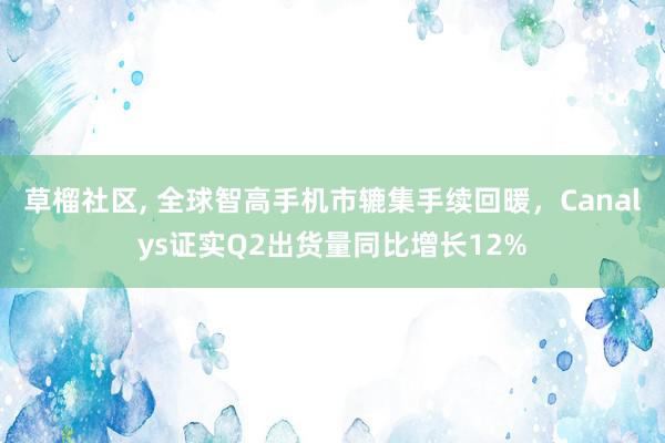 草榴社区, 全球智高手机市辘集手续回暖，Canalys证实Q2出货量同比增长12%