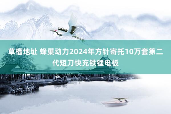 草榴地址 蜂巢动力2024年方针寄托10万套第二代短刀快充铁锂电板