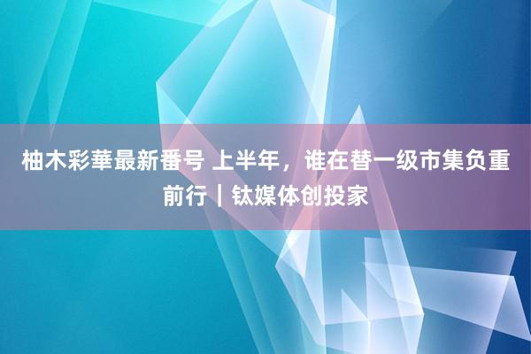 柚木彩華最新番号 上半年，谁在替一级市集负重前行｜钛媒体创投家