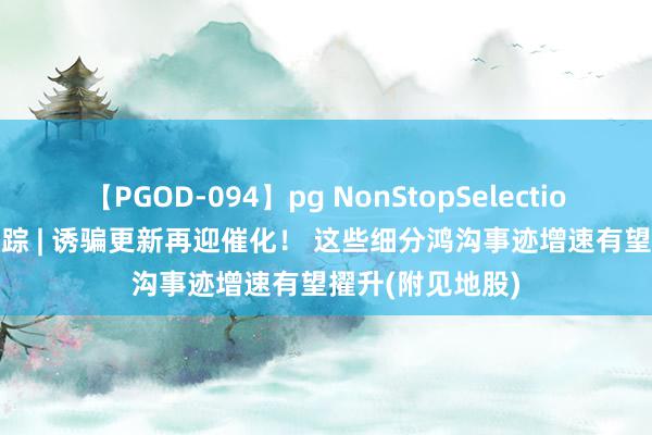 【PGOD-094】pg NonStopSelection 5 港股见地跟踪 | 诱骗更新再迎催化！ 这些细分鸿沟事迹增速有望擢升(附见地股)