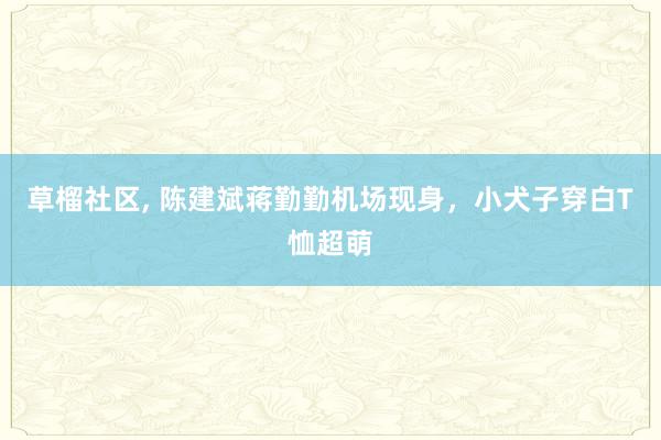 草榴社区, 陈建斌蒋勤勤机场现身，小犬子穿白T恤超萌