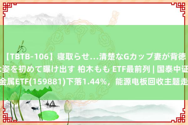 【TBTB-106】寝取らせ…清楚なGカップ妻が背徳感の快楽を知り淫らな姿を初めて曝け出す 柏木もも ETF最前列 | 国泰中证有色金属ETF(159881)下落1.44%，能源电板回收主题走弱，天奇股份高潮1.91%