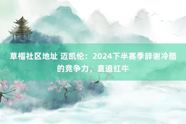 草榴社区地址 迈凯伦：2024下半赛季辞谢冷酷的竞争力，直追红牛