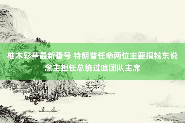 柚木彩華最新番号 特朗普任命两位主要捐钱东说念主担任总统过渡团队主席