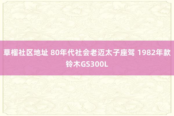 草榴社区地址 80年代社会老迈太子座驾 1982年款铃木GS300L