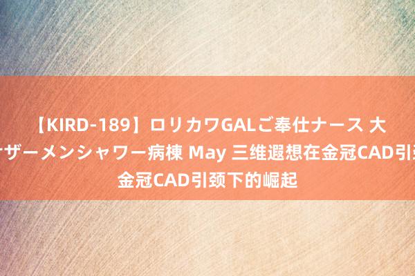 【KIRD-189】ロリカワGALご奉仕ナース 大量ぶっかけザーメンシャワー病棟 May 三维遐想在金冠CAD引颈下的崛起