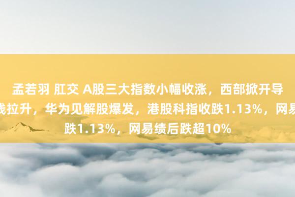 孟若羽 肛交 A股三大指数小幅收涨，西部掀开导见解股尾盘直线拉升，华为见解股爆发，港股科指收跌1.13%，网易绩后跌超10%