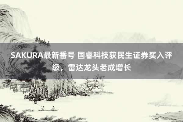 SAKURA最新番号 国睿科技获民生证券买入评级，雷达龙头老成增长