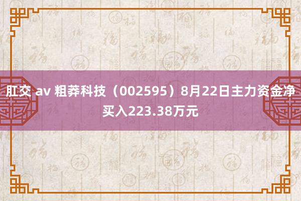 肛交 av 粗莽科技（002595）8月22日主力资金净买入223.38万元