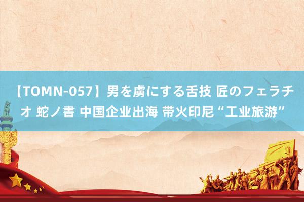 【TOMN-057】男を虜にする舌技 匠のフェラチオ 蛇ノ書 中国企业出海 带火印尼“工业旅游”